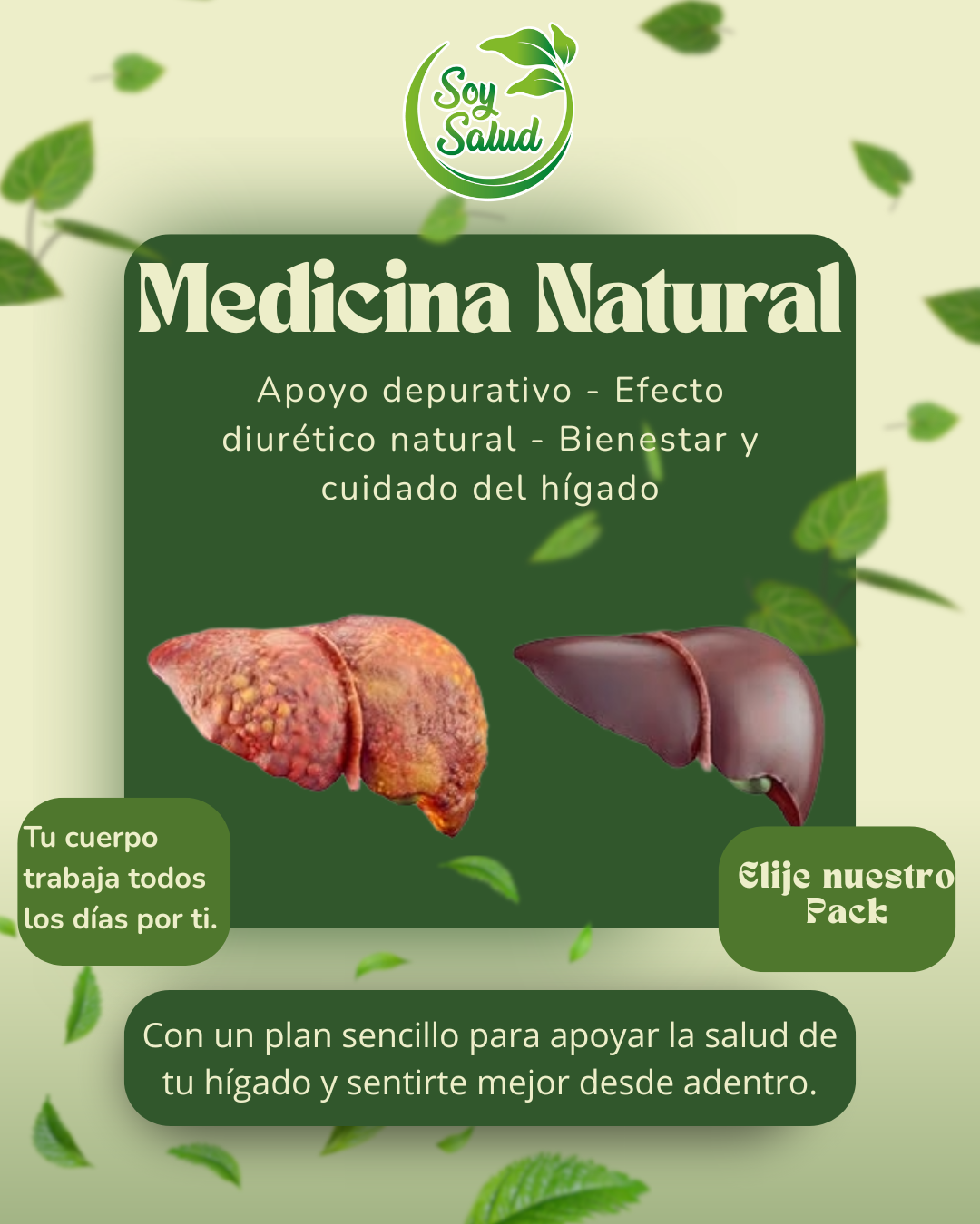 Pack Hígado Sano Natural – Guía Detox y Apoyo para la Salud Hepática